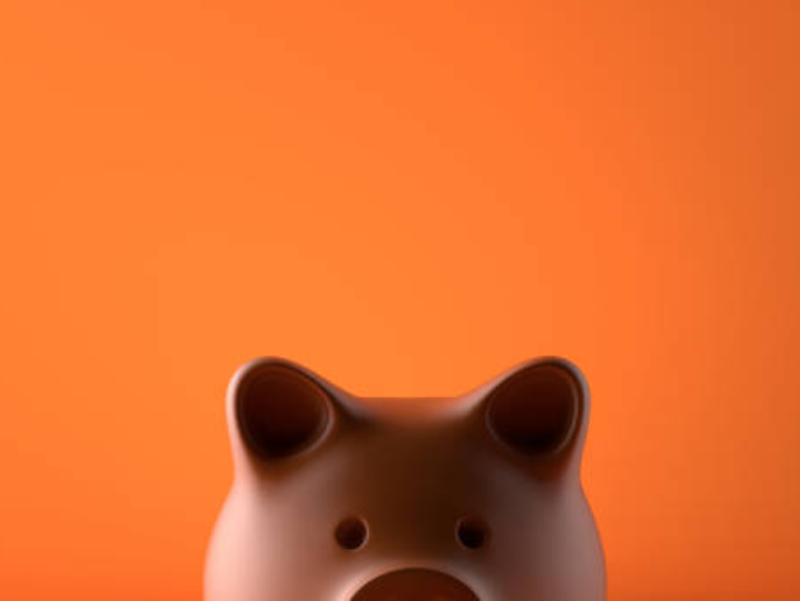 Piggy Bank